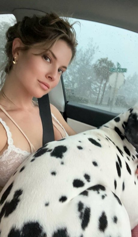 Amanda Cerny porn actress img