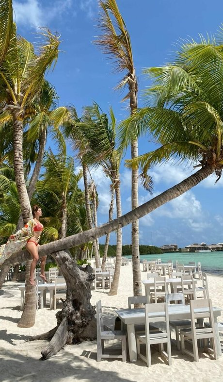 big cock onlyfans hot porn archive