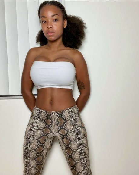 zuribellarose star hd galleries