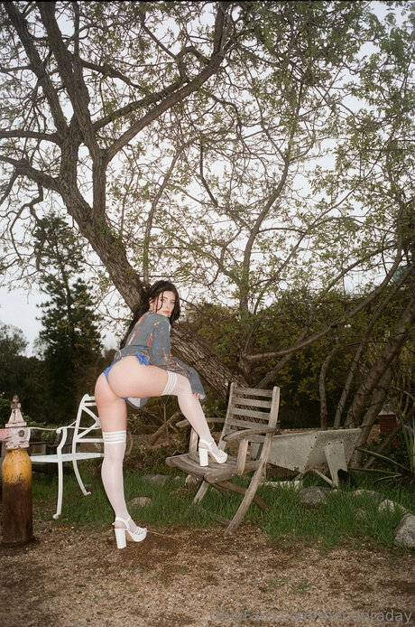 Theodoraday star top img