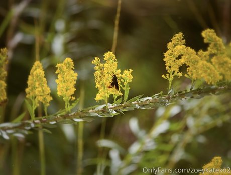 goddess onlyfans sexy xxx galleries