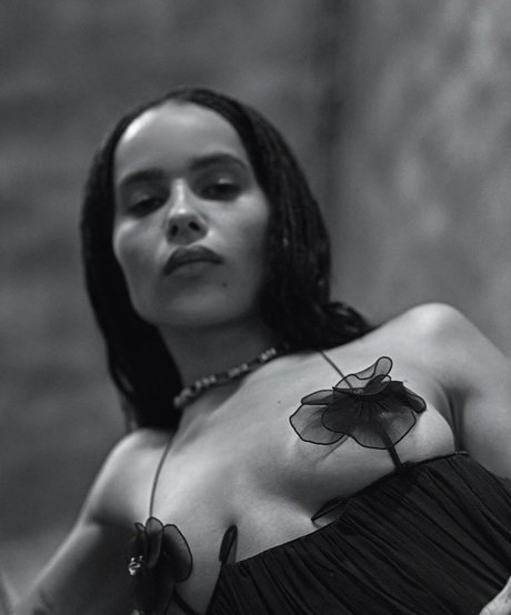 Zoe Kravitz nude model photos