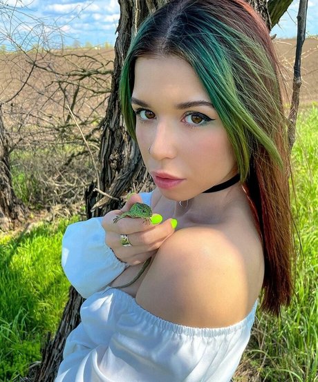 shulyyyyyy profile pic