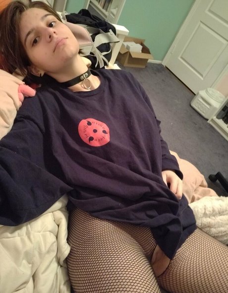 korviid star high quality pictures