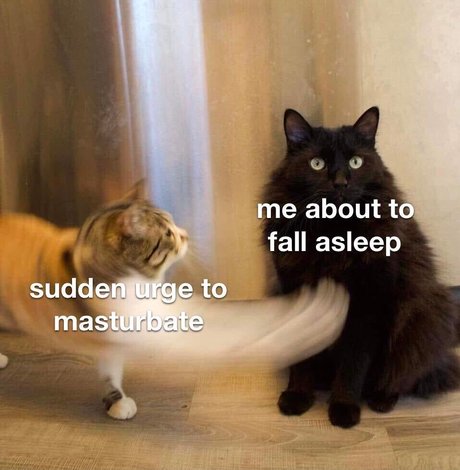 Kirsten Knight nudes pornstar galleries