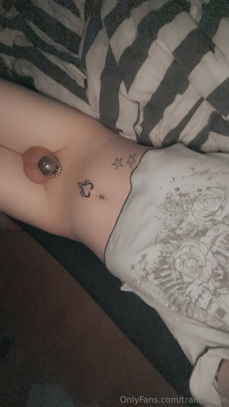 Transangie top pornstar images