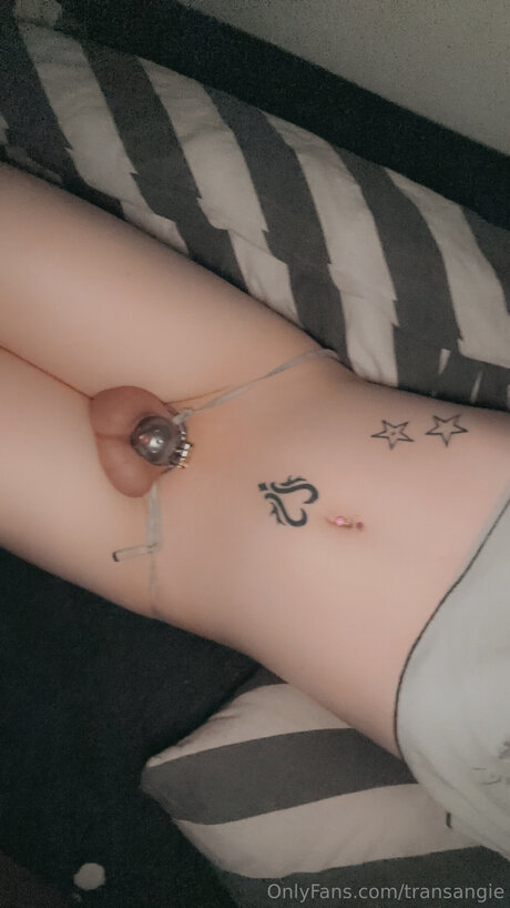 Transangie erotic star photo