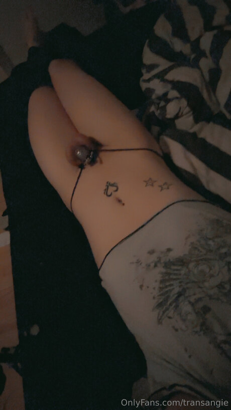 Transangie nice pornstar images