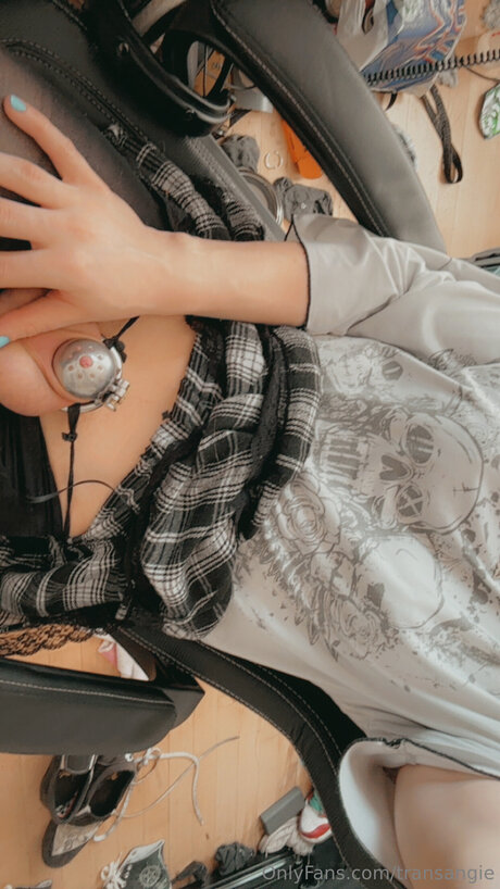 Transangie sex star gallery