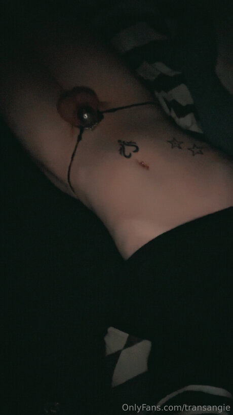 Transangie model nudes pics