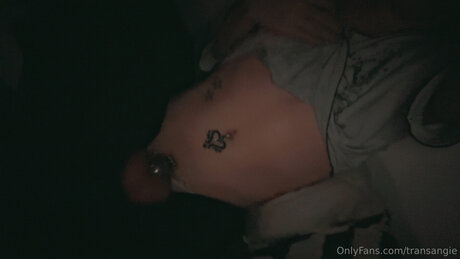 Transangie perfect star galleries