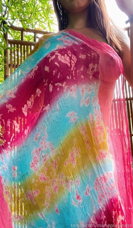 marieplaymate art star photo