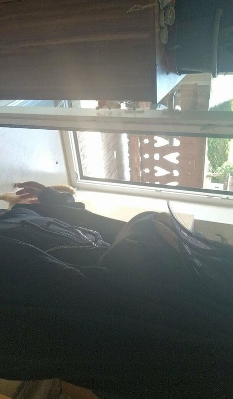 thethreeheadedsnake perfect pornstar img