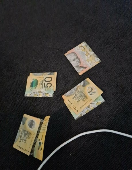 dramatic dumpster free best pornstar pictures