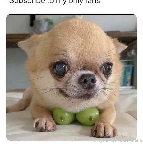 arab pussy onlyfans hot naked img