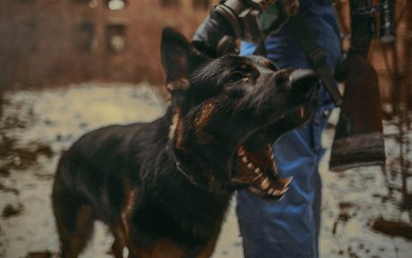 Jannet In Cosplay model beautiful gallery