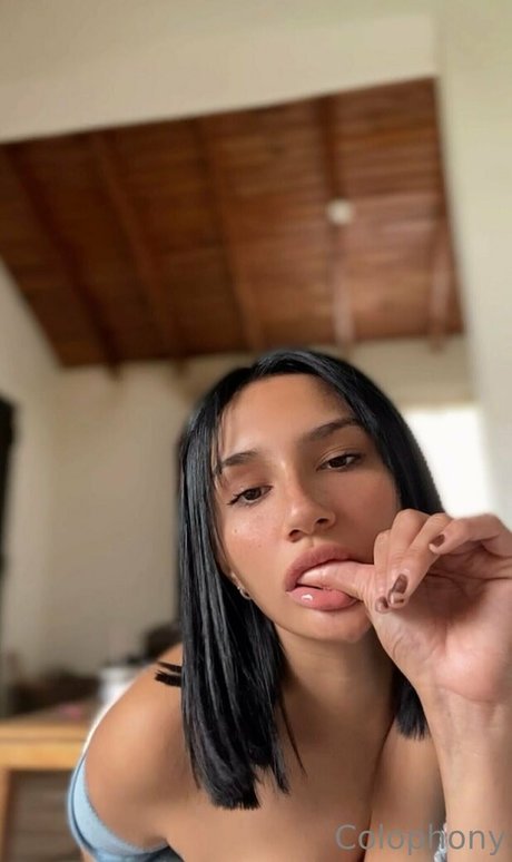 holly bratty pornstar free archive