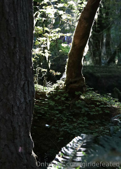 girldefeated pornstar top galleries