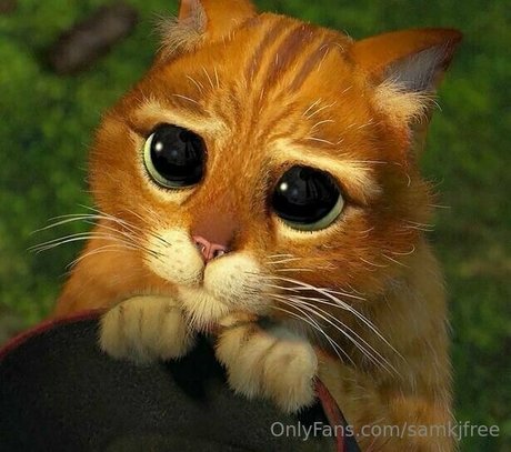 samkjfree profile pic