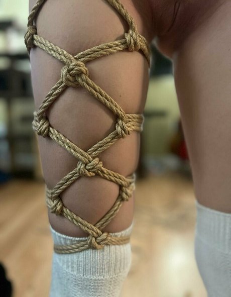 sirrucifer star adult galleries