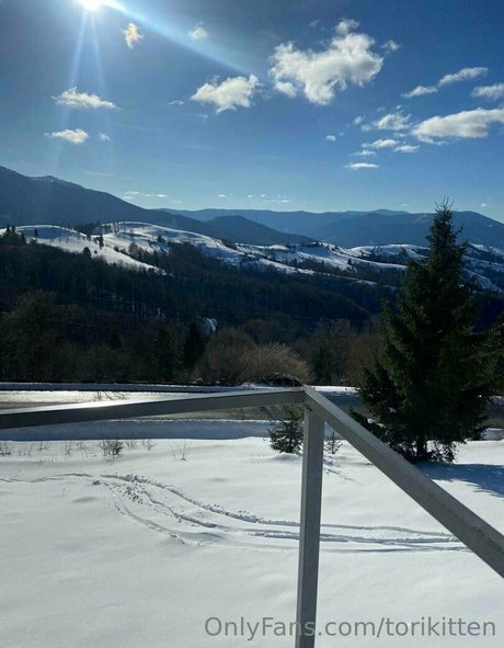 torikitten erotic pornstar pics