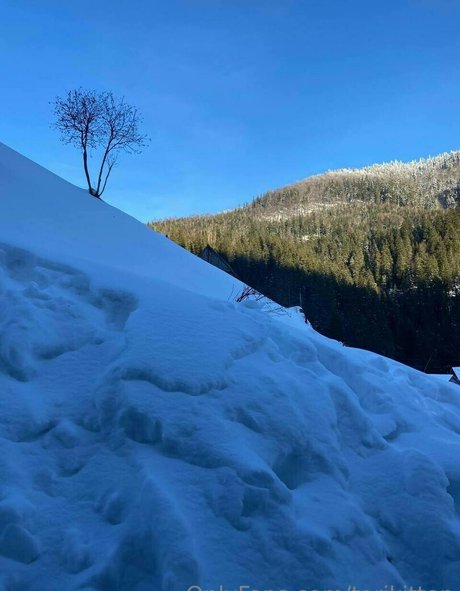 torikitten erotic model img