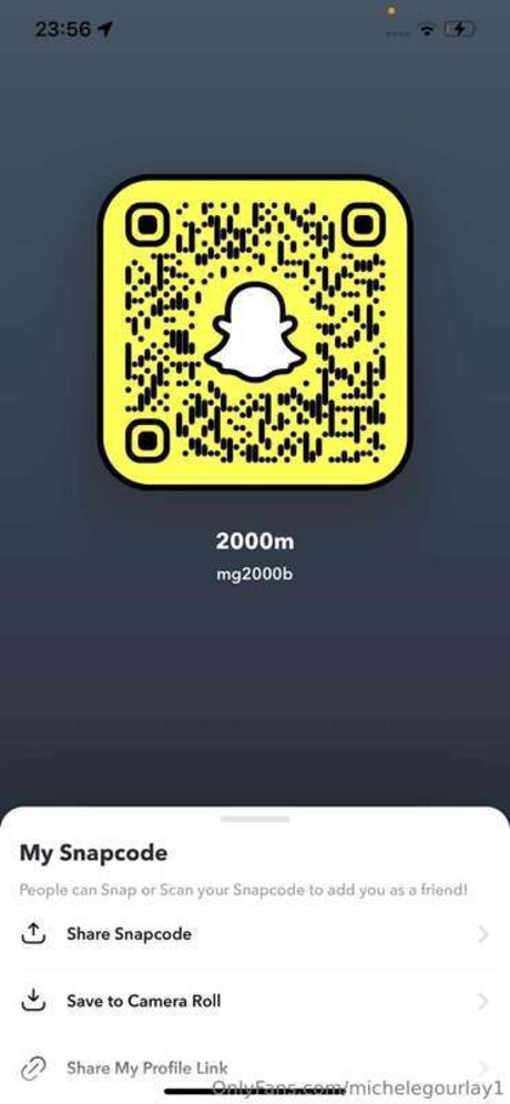 Michelegourlay1 model nice galleries