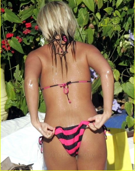 Brooke Hogan star art image