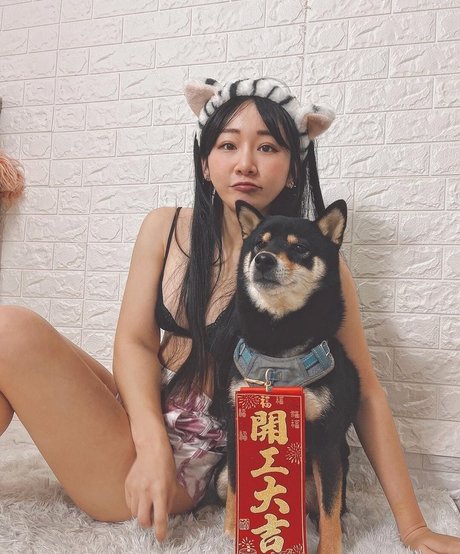 ggshacylin star art images