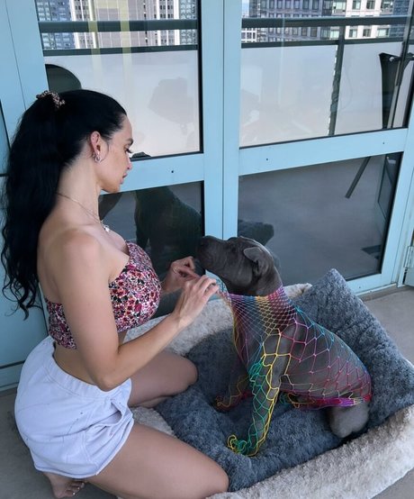 amyanderssen xxx star picture