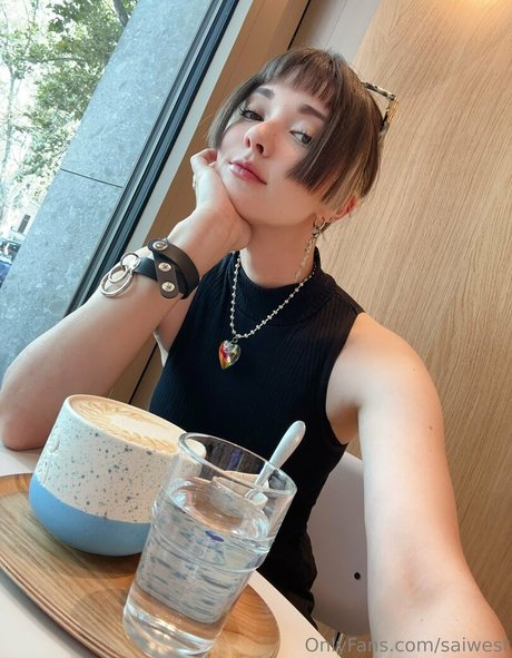 saiwest model best picture