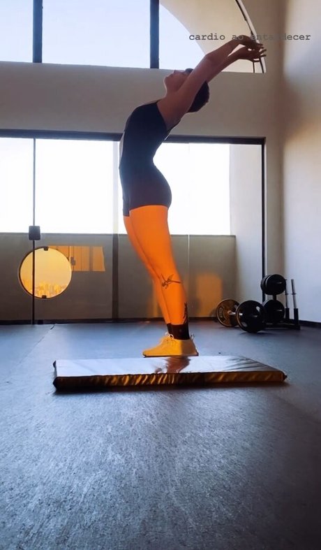 Triz free star archive