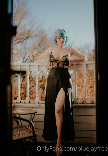 bluejayfree erotic pornstar gallery