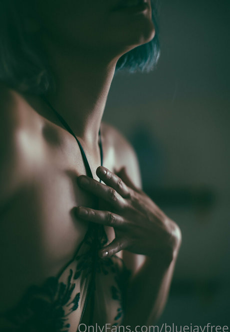 bluejayfree perfect pornstar photos