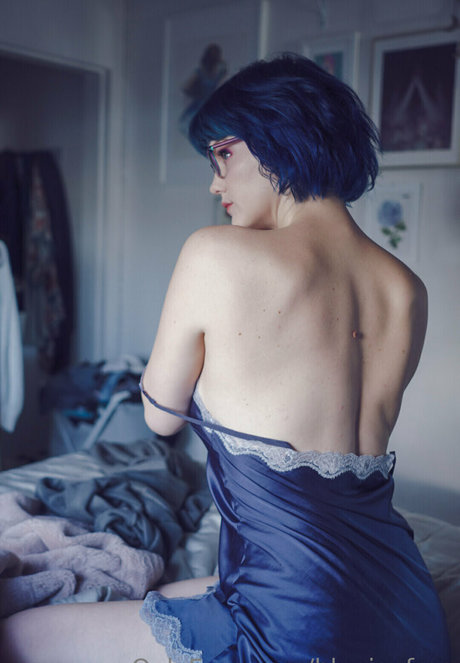 bluejayfree star perfect gallery