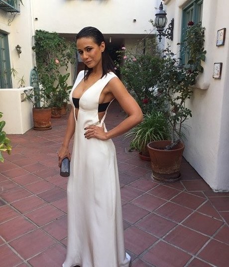 Emmanuelle Chriqui profile pic