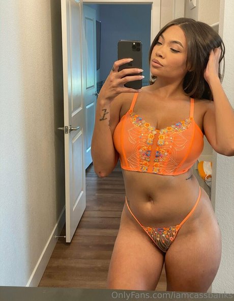 iamcassbanks perfect pornstar archive