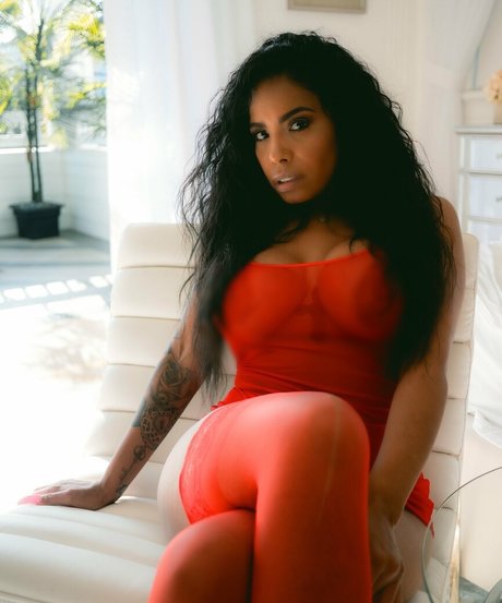 havanaginger star high quality images