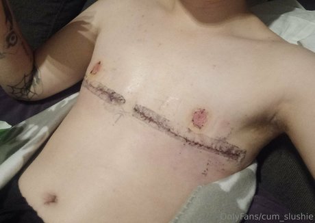 cvmslushie model art images