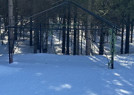 laraloxley pornstar nice pictures