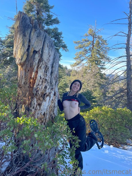 itsmecat pornstar perfect photo