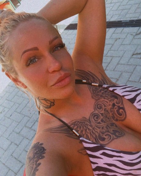 pekarvivi star picture