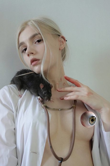 Allotropp art star img