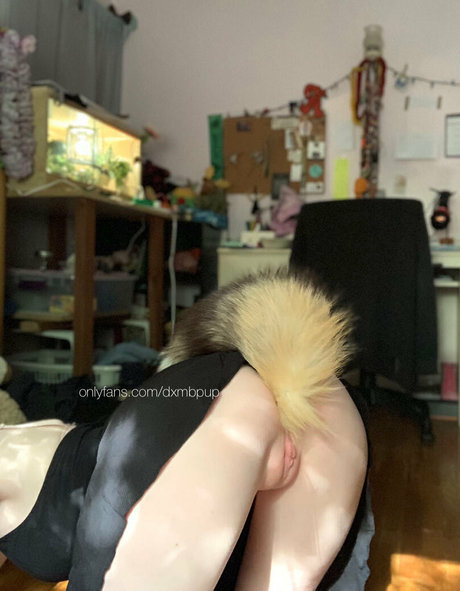 dxmbpup pornstar picture
