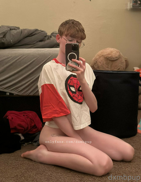 dxmbpup nice star images