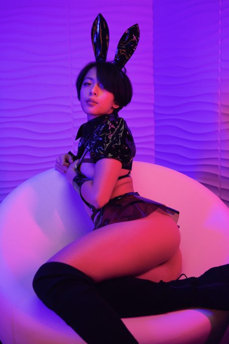 Chandradez model top img