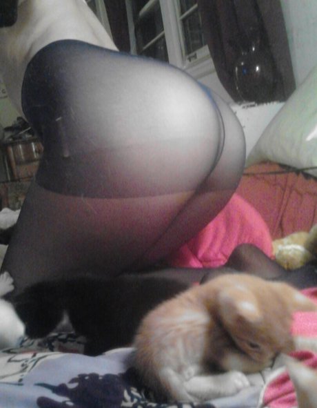 Alexa Lungu erotic star pics