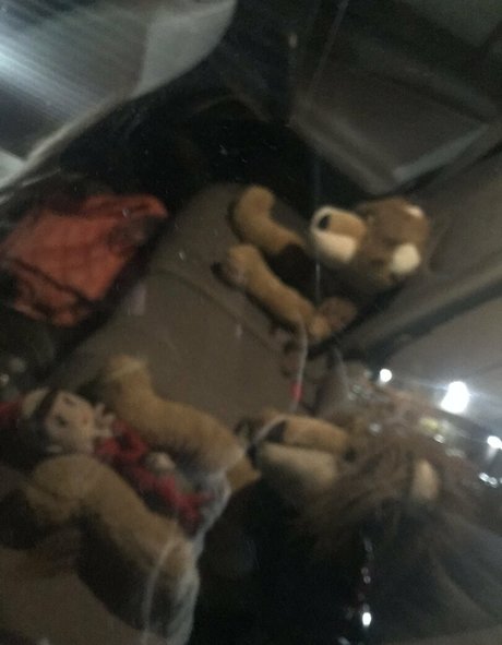 Kristie Bish pretty actress photos