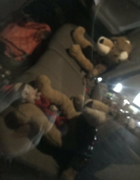 Kristie Bish nice pornstar pictures