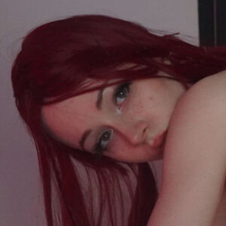 lillypilly art star gallery